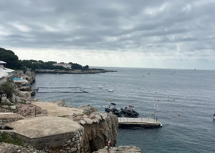 Les Oiseaux Antibes