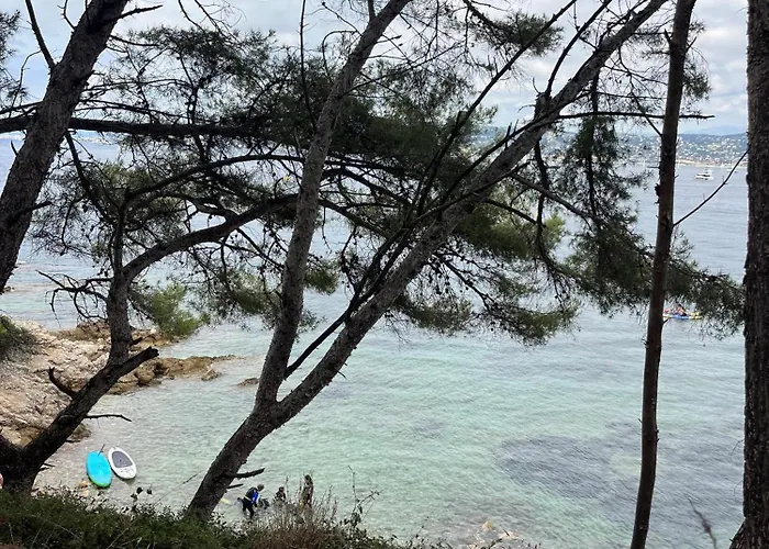 Les Oiseaux * Antibes